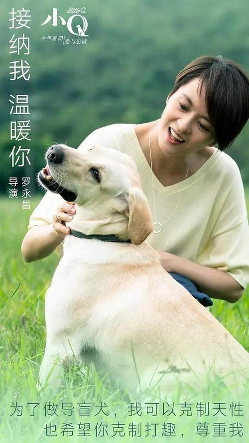 甲南大学金融文凭证书